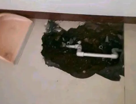 平安卫生间测漏水多少钱